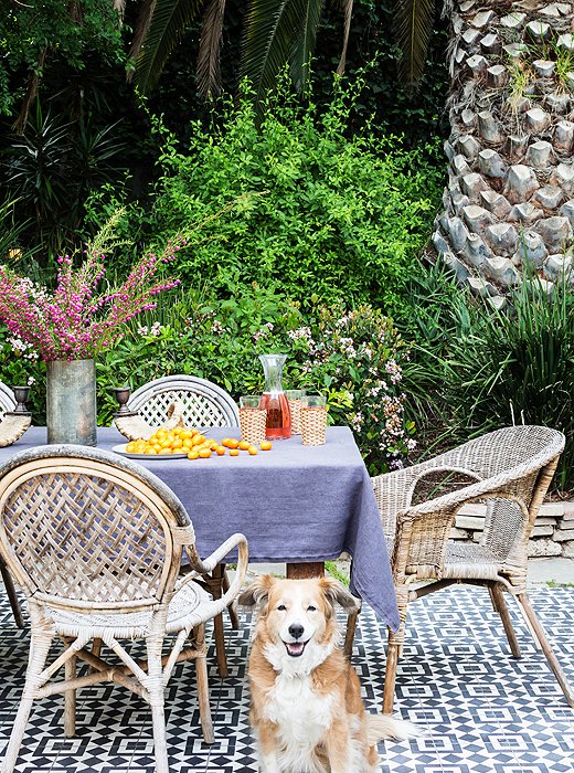 Out on the patio, the couple’s dog, Harrison, happily sits on Granada tile they had installed to match the feel of the house.
